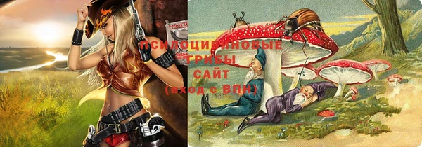 марки nbome Белая Холуница