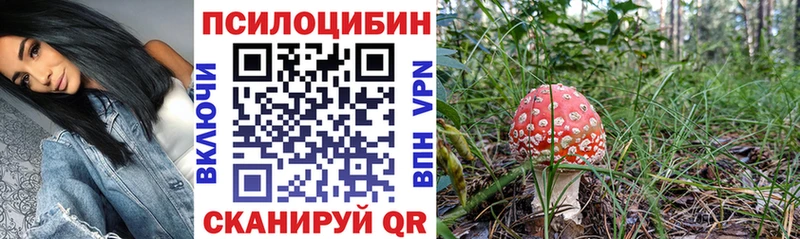 Псилоцибиновые грибы Magic Shrooms  Татарск 